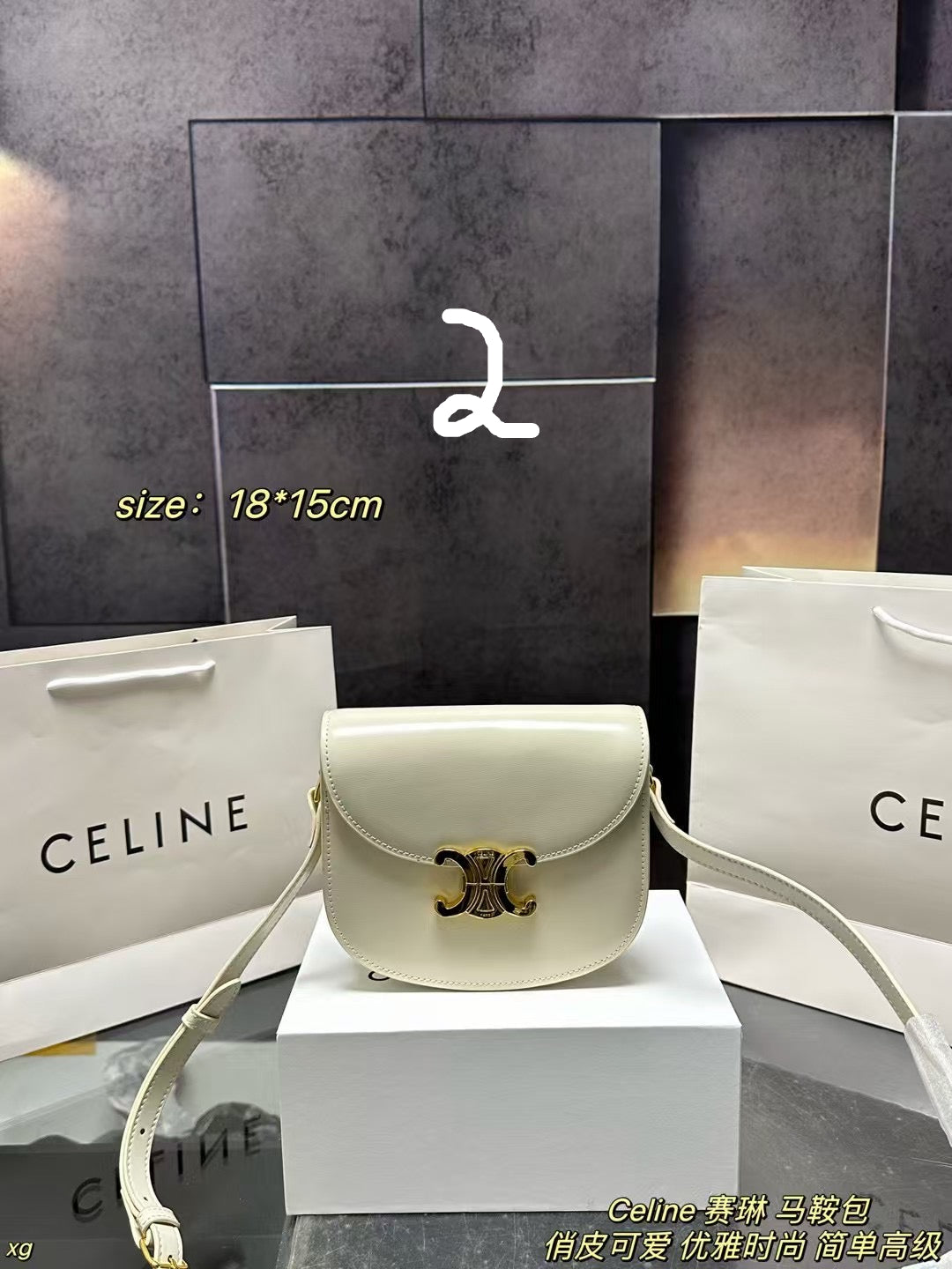 CELINE CLASSIC