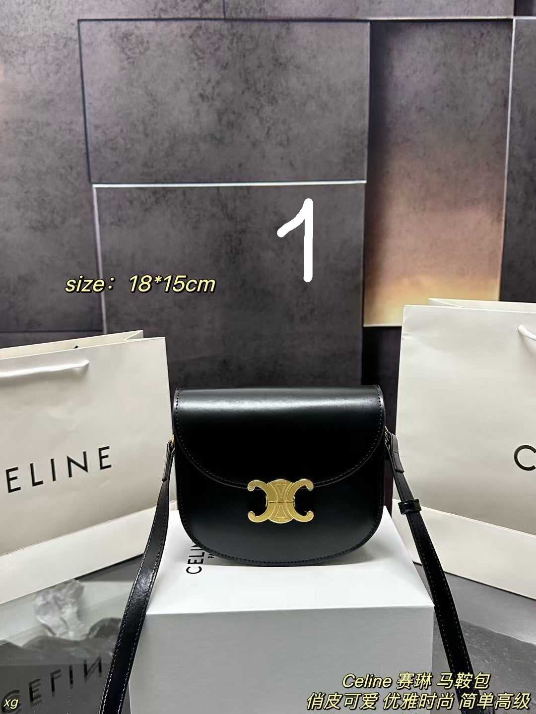 CELINE CLASSIC