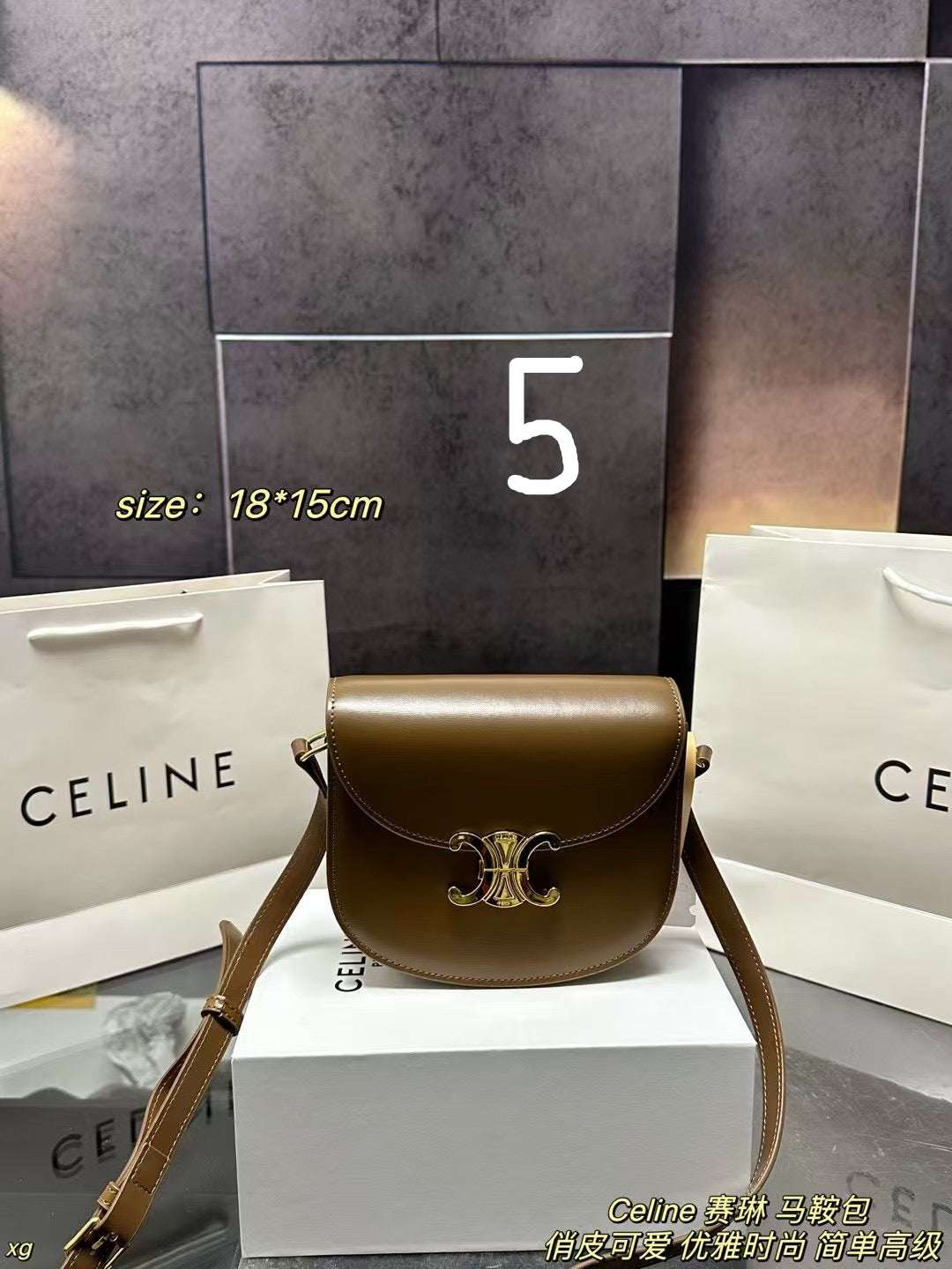 CELINE CLASSIC